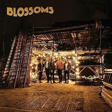 Blossoms Cddvdbonustrack - BLOSSOMS- Aus Stock- RARE MUSIC CD