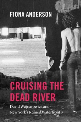 CRUISING THE DEAD RIVER by Fiona Anderson Paperback Self Help Business