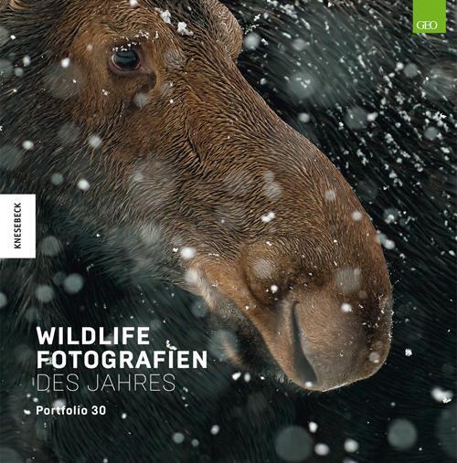 Thumbnail - Wildlife Fotografien Des Jahres - Portfolio 30 | Natural History |
