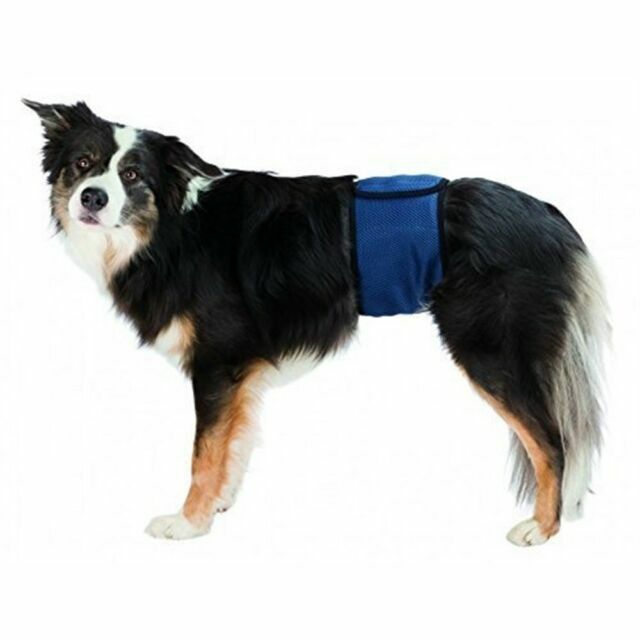 belly pads for male dogs