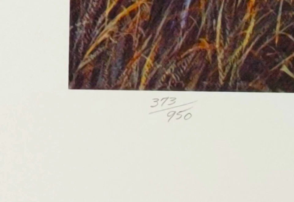 Pat Ruesch Print "Silent Passage" #373/950 Limited Edition Signed - Image 2 of 4