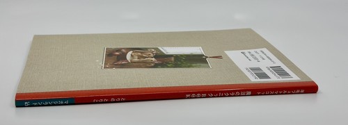 Felt Wool Mascot Magic - Japanese Craft Book, New - Picture 2 of 8