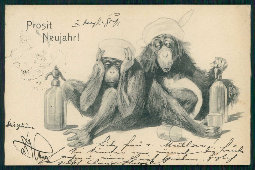 Cartolina Scimmia Scimmia Buon Anno TC4685