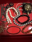 Vintage and Modern Costume Jewelry Lot 062