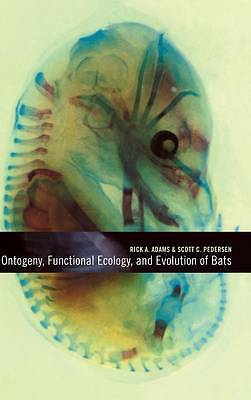 Ontogeny, Functional Ecology, and Evolution of Bats Adams Pedersen Hardback