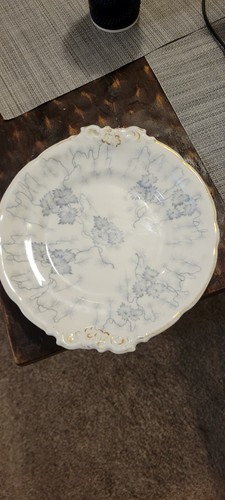 c 1892 George Grainger & Co (Royal China Works, Worcester) "Moss Fibre" plate - Picture 13 of 13
