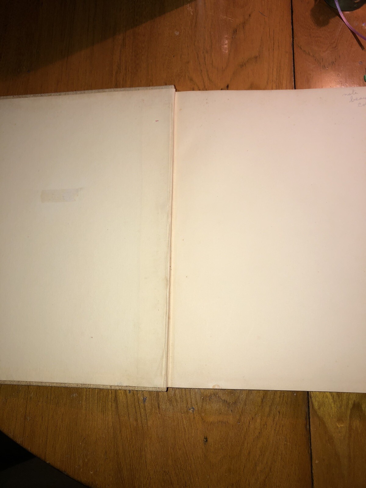 Picture 5 of 22