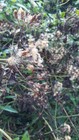 Bild 6 von 16