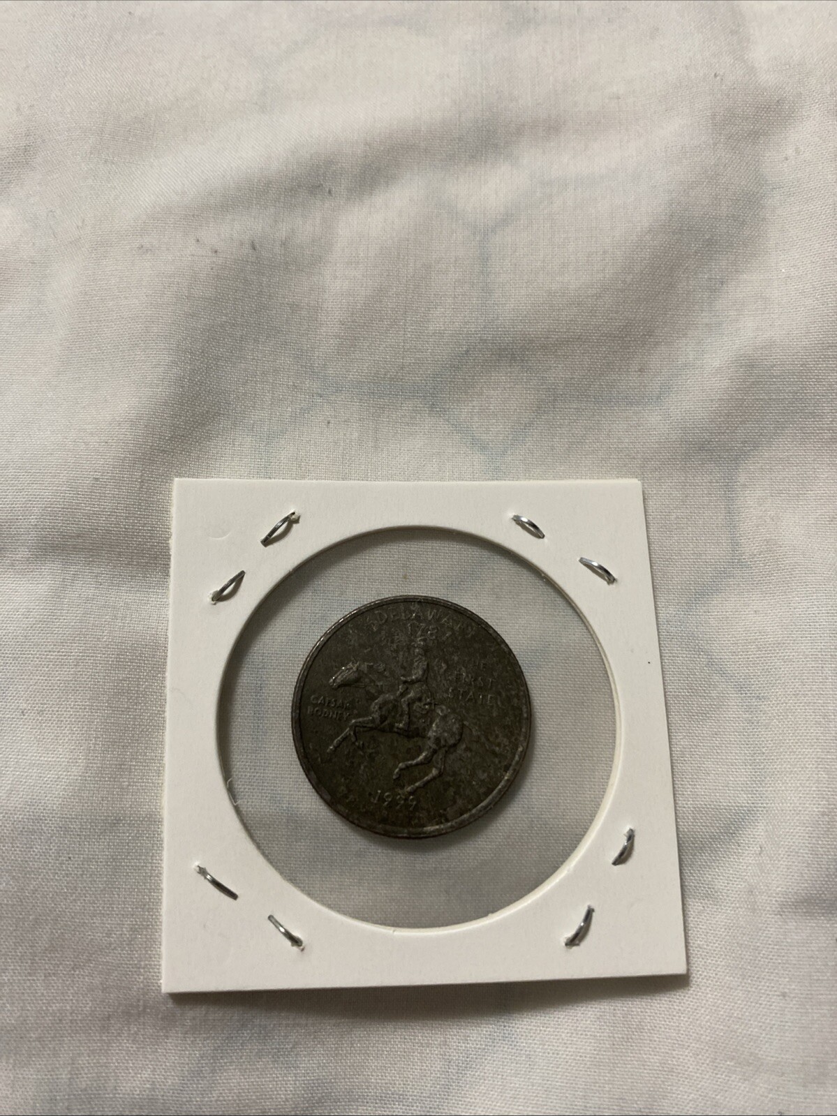 Picture 17 of 19