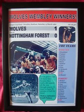 Wolves 1 Nottingham Forest 0 - 1980 League Cup final - framed print 