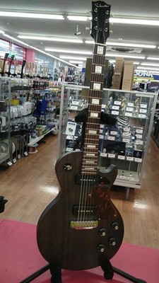 SCHECTER L-LS-P-CTM/CBT/R Electric Guitar