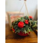 Vintage Velour Christmas Hanging Basket Planter plastic Holly Apples Red