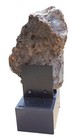 Bild 4 von 11