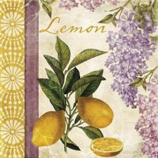 Ceramic Backsplash Tile Mural Fruit Vegetable Kitchen/Bathroom - Summer Citrus I