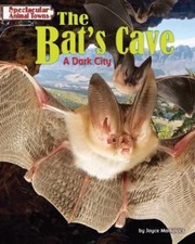 The Bat's Cave: A Dark City by Markovics, Joyce