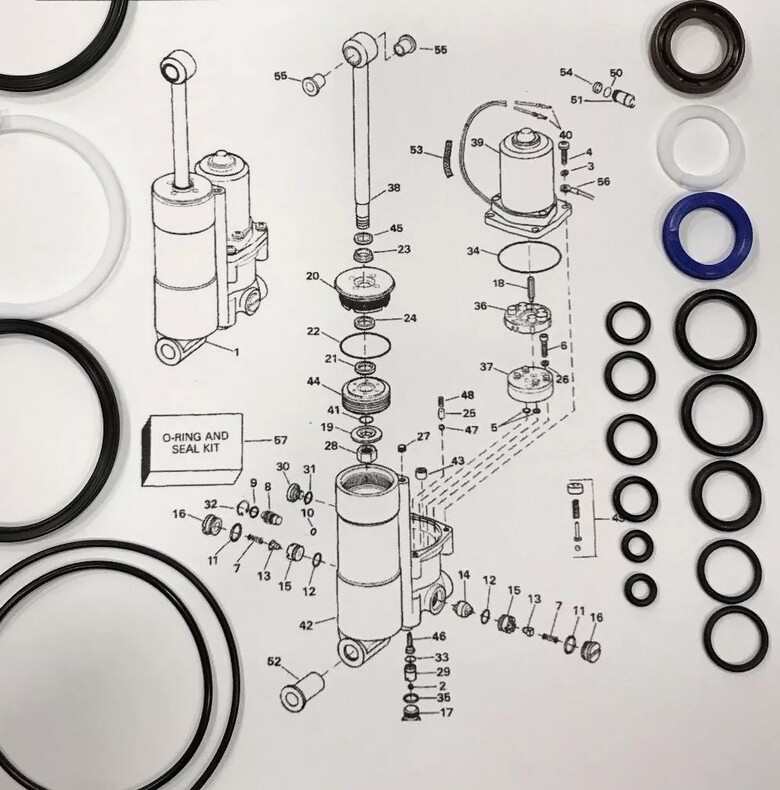 Fits BRP Johnson Evinrude 40 48 50 HP Seal Kit TNT Tilt Trim