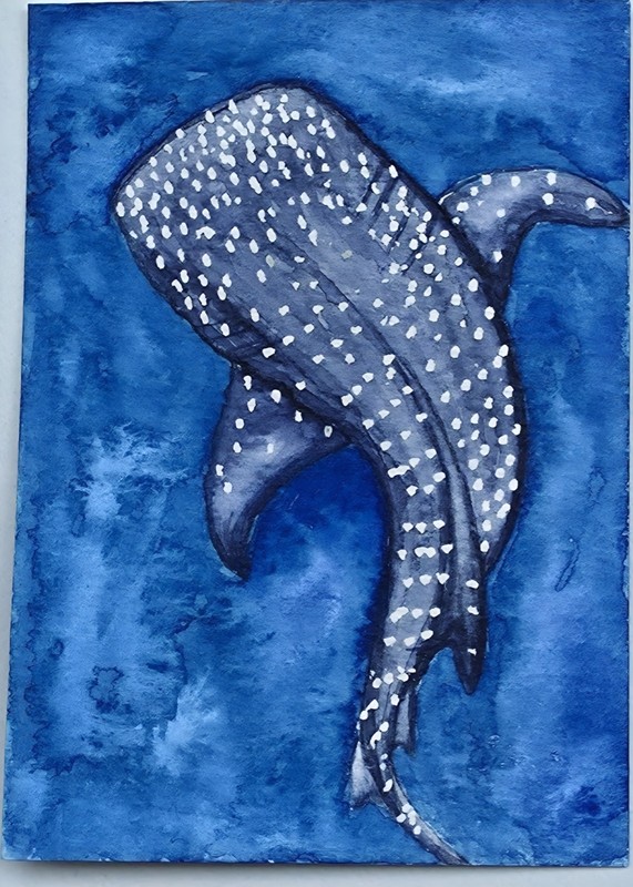 ACEO Whale Shark Ocean Miniature Original Watercolor ATC Secondfloorboutique