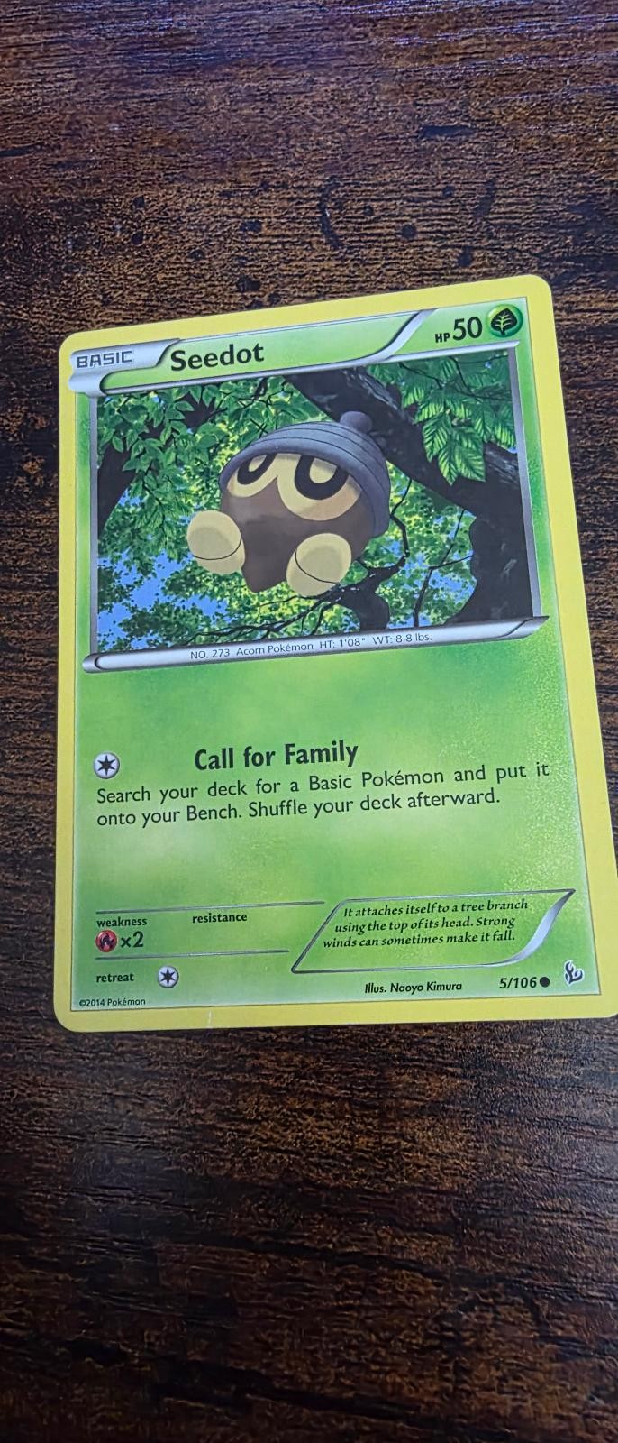 Seedot 5/106 Common Flashfire Pokemon Moderately Played