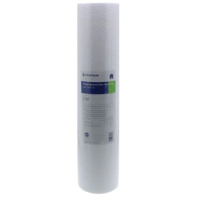 Pentek DGD-7525-20 Dual Gradient Filter, 25 Micron