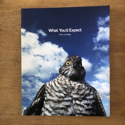 What You'd Expect  Peter Liversidge