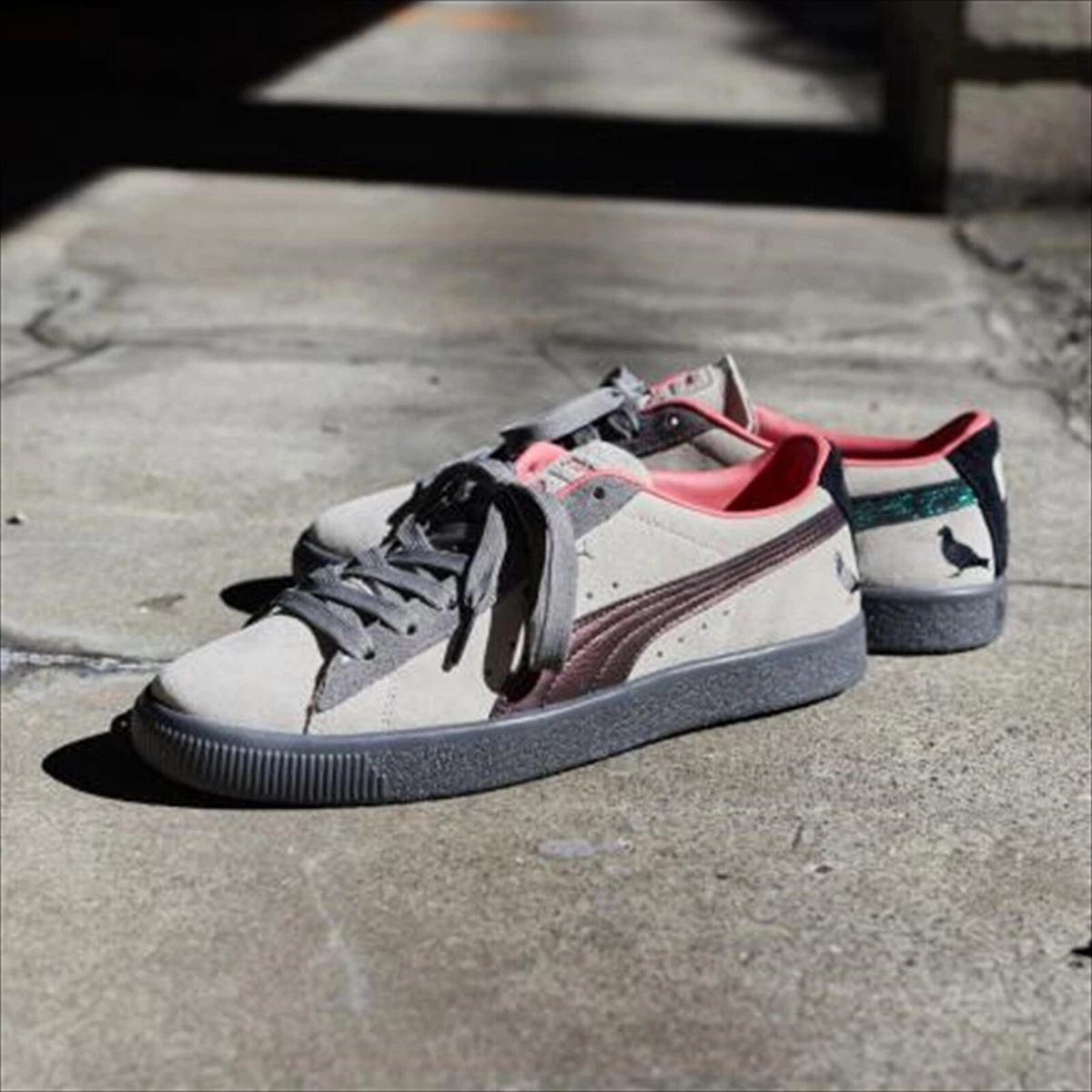 Pigeon puma hotsell