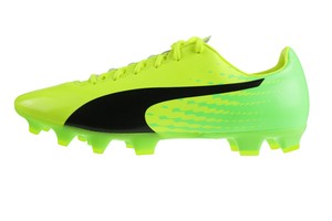 puma evospeed 17.2 fg