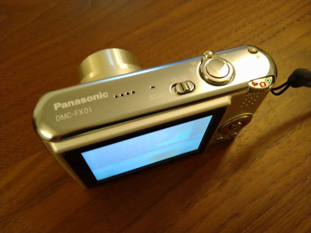 Panasonic LUMIX DMC-FX01 Silver Compact Camera with 1GB SD Card