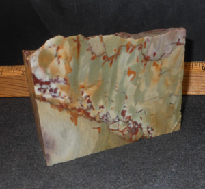 Nevada's Dead Camel Jasper,        Area Now Closed