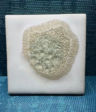 (1) Dock 6 Pottery Tuvalu Geode Coaster 4” Square Ceramic Tile Cream White Beige