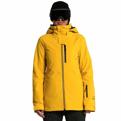 lib tech wayne snowboard jacket