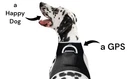 iTrackPET GPS Pet Tracker for Dogs - Waterproof, GPS Location & Activity Tracker