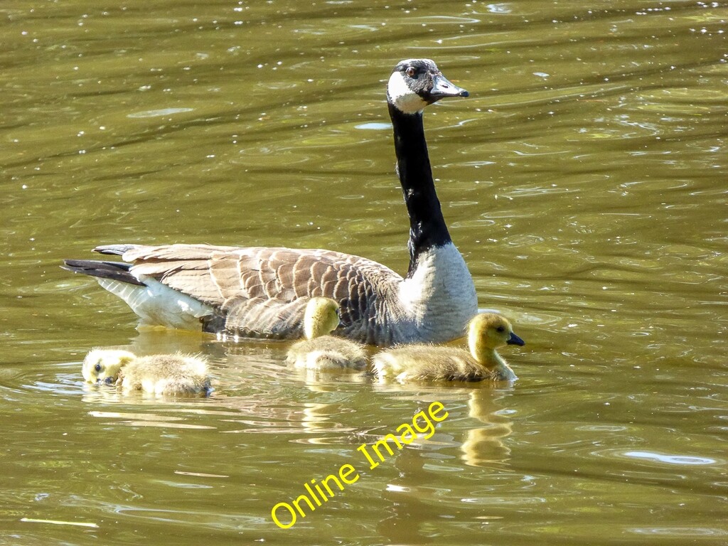 Bild 1 von 1