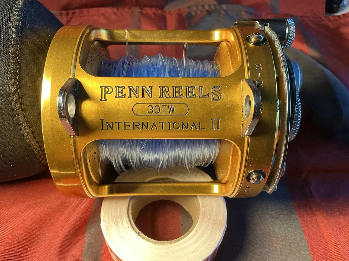 Penn International 30tw | eBay