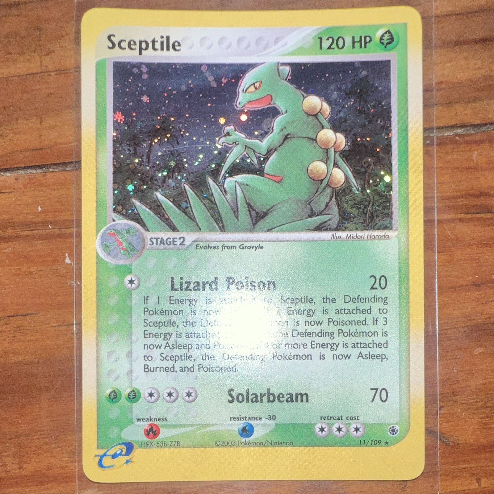 Pokemon TCG Sceptile 11/109 EX Ruby & Sapphire Holo Rare