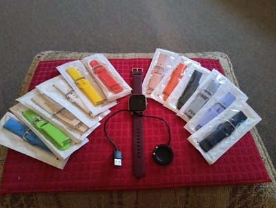 Fitbit Pro Including 12 extra bands