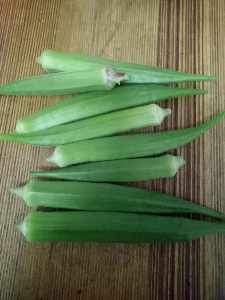 Okra / ladies finger / bendi : true breed tropical vegetable seeds - Image 2 of 4
