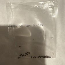 Henbane Herb Seeds in Small Clear Packet, Brown