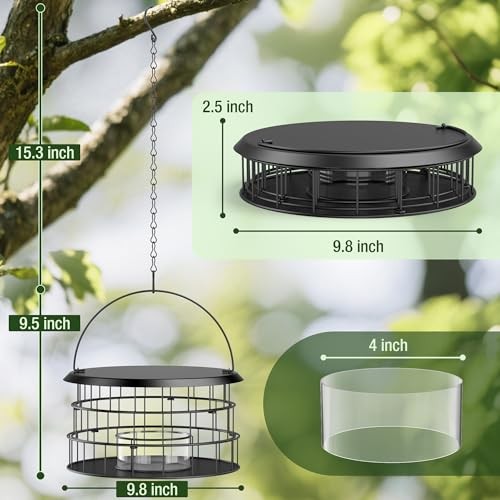 Bluebird Feeders for Outdoors Hanging - Birdfeeder Bluebird Feeder- Black