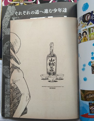 ONE PIECE magazine Vol.12 A three ASL &Beast Pirates visual colored paper set - Picture 13 of 24
