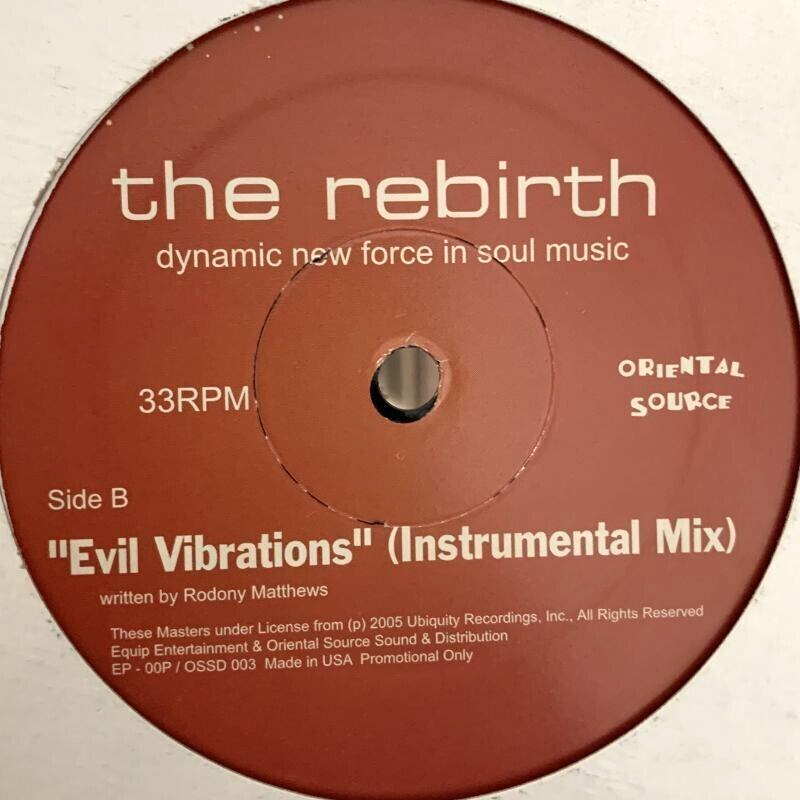 the rebirth Evil Vibrations 7インチレコード 新品 THE REBIRTH / Evil Vibrations(7 Edit) / Evil Vibrations