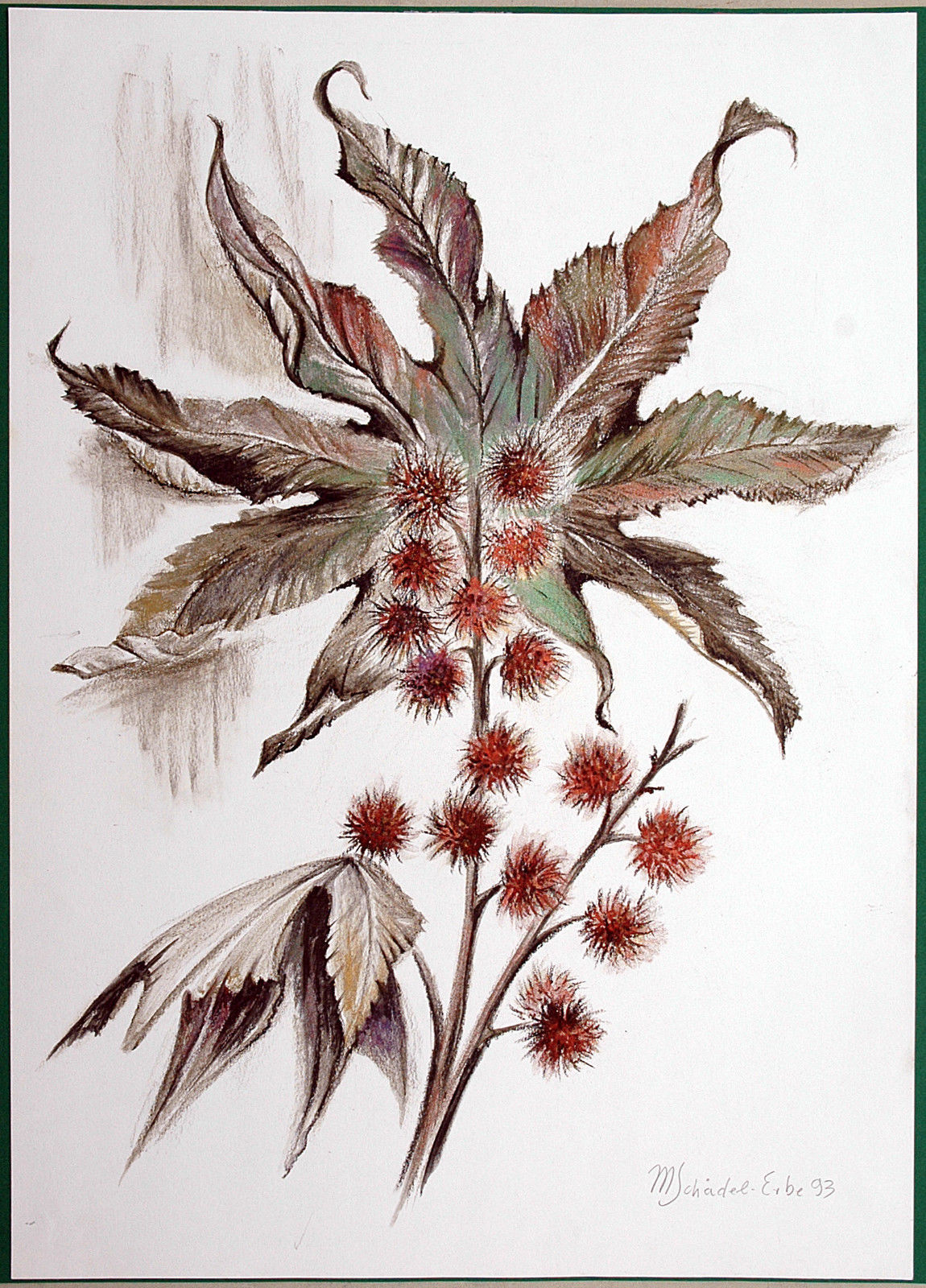 Herencia de cráneo Marga 1921-2002: castaño precioso tiza de color 1993 exposición gran formato