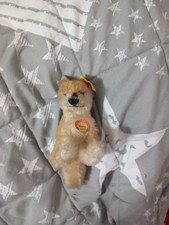 Steiff Xorry Selten
