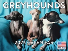 Greyhound Calendar 2026 Monthly Wall Calender 12 Month