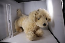 FAO Schwarz Golden Retriever Lab Plush Puppy Dog