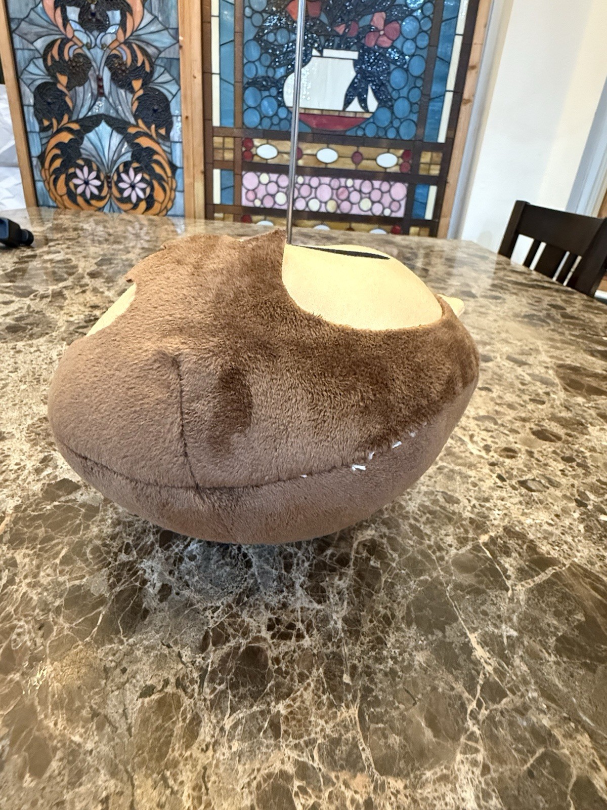 Picture 5 of 13