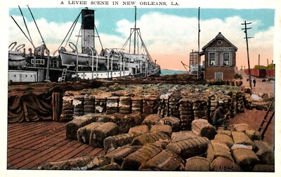 A Levee Scene In New Orleans Louisiana Postcard