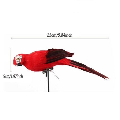 25CM 6PC Artificial Parrot Simulation Fake Birds Home Garden Yards Lawn Decors - Picture 2 of 12