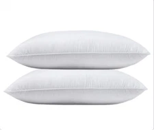 NWOT- Quince Standard White Goose Down Pillow Set Of 2 (Firm)(P4)