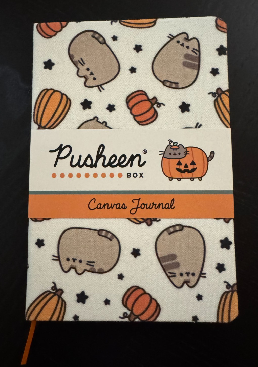 Pusheen Pumpkin Canvas Journal Subscription Box Fall 2025-image