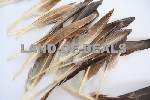 40+ Duck pointer feathers Natural brown loose real feathers for crafts 0.5/1 oz - Picture 6 of 8
